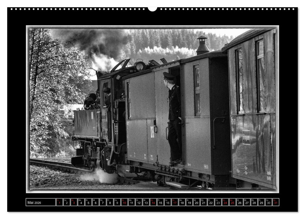 Unter Dampf - Mit der Preßnitztalbahn durchs Erzgebirge (CALVENDO Premium Wandkalender 2026)