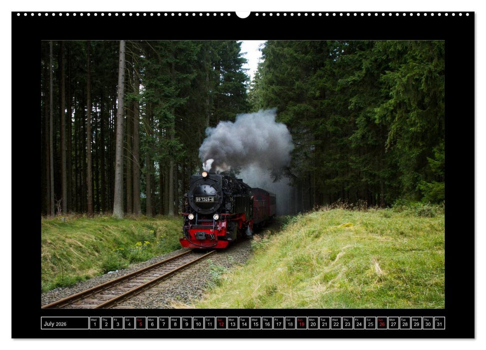 Steam Experience (CALVENDO Premium-Calendar 2026)