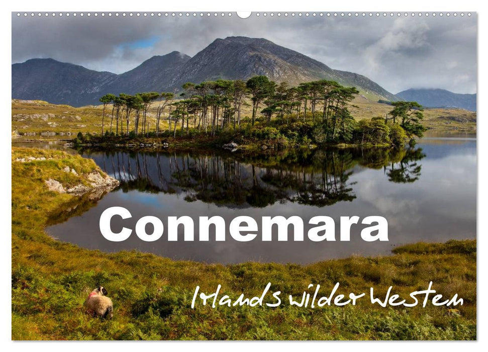 Connemara - Irlands wilder Westen (CALVENDO Wandkalender 2026)