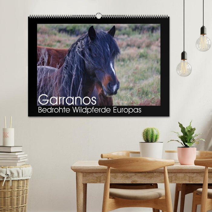 Garranos - Bedrohte Wildpferde Europas (CALVENDO Wandkalender 2026)