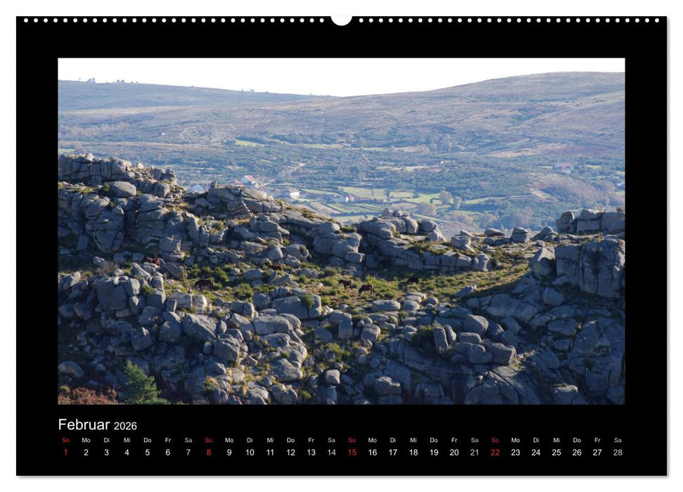 Garranos - Bedrohte Wildpferde Europas (CALVENDO Wandkalender 2026)