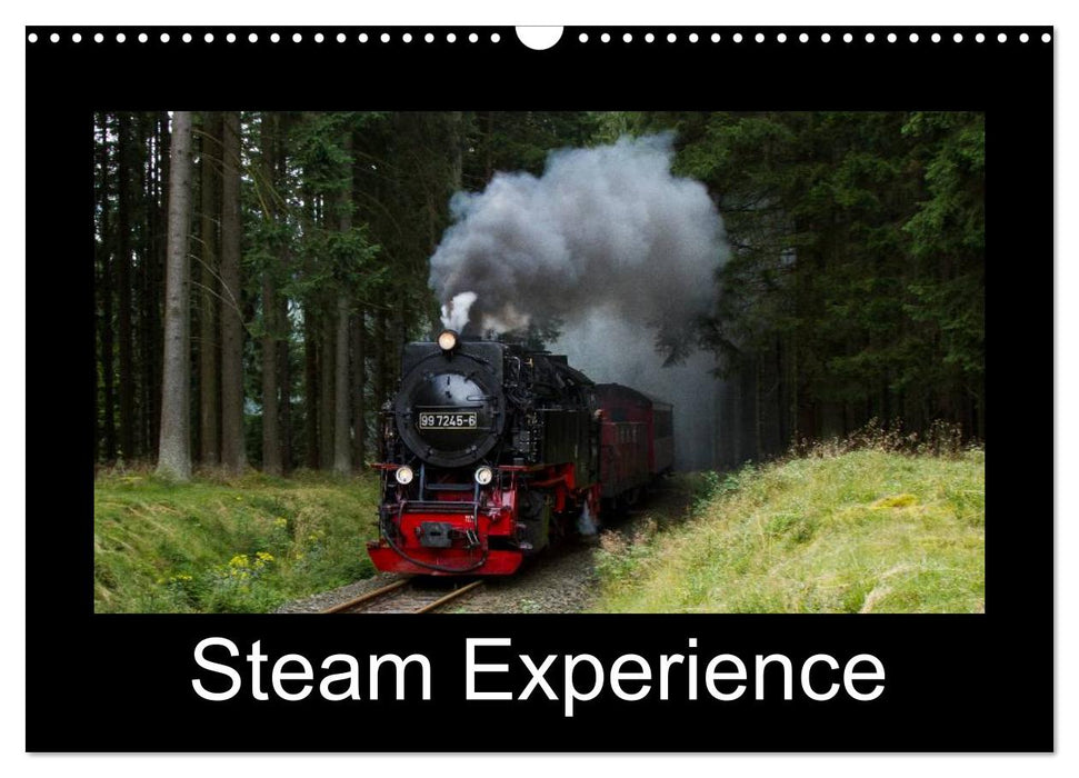 Steam Experience (CALVENDO Monthly Calendar 2026)