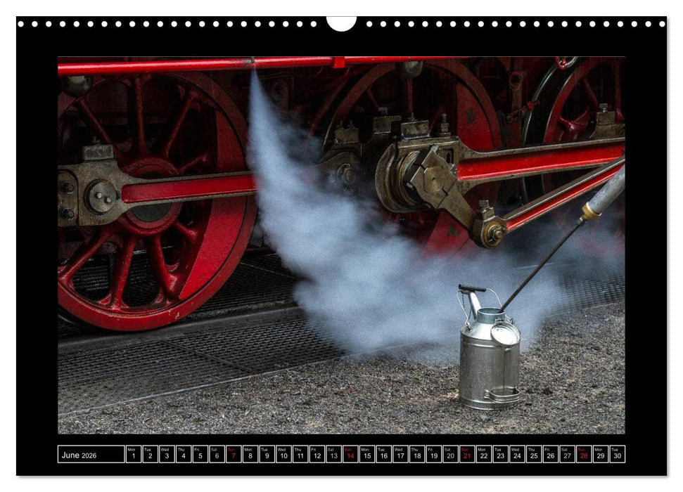 Steam Experience (CALVENDO Monthly Calendar 2026)