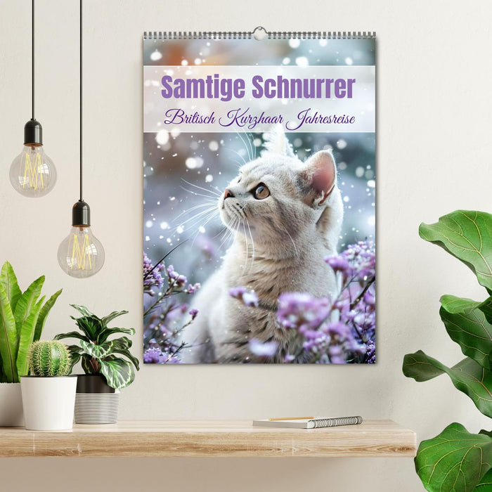 Samtige Schnurrer (CALVENDO Wandkalender 2026)
