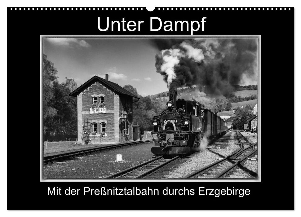 Unter Dampf - Mit der Preßnitztalbahn durchs Erzgebirge (CALVENDO Wandkalender 2026)