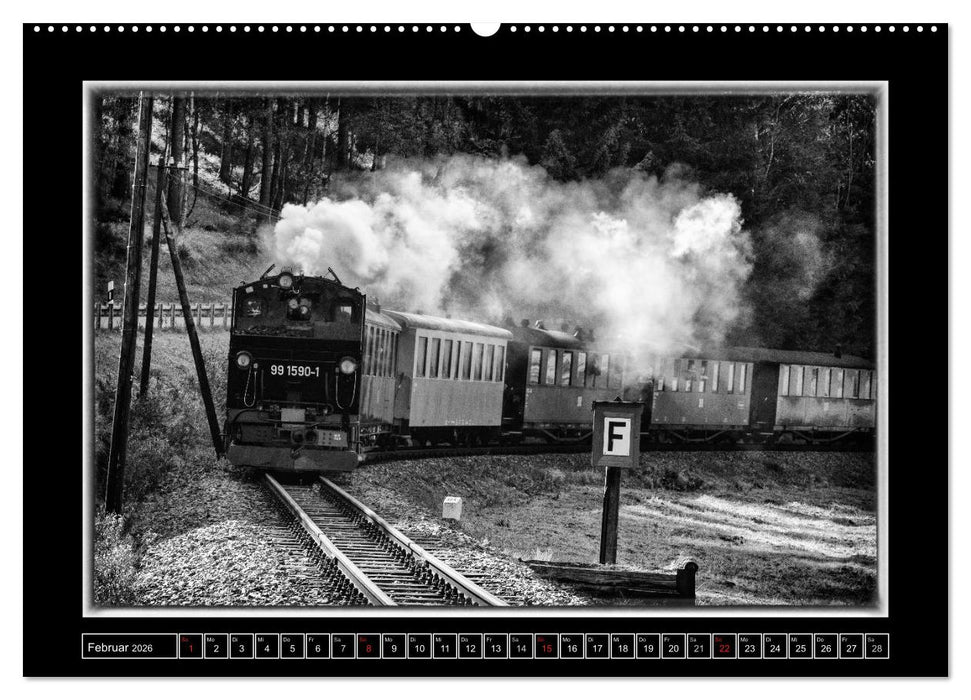Unter Dampf - Mit der Preßnitztalbahn durchs Erzgebirge (CALVENDO Wandkalender 2026)