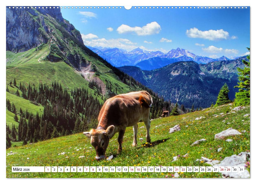 BAYERN, Du bist so schön (CALVENDO Premium Wandkalender 2026)