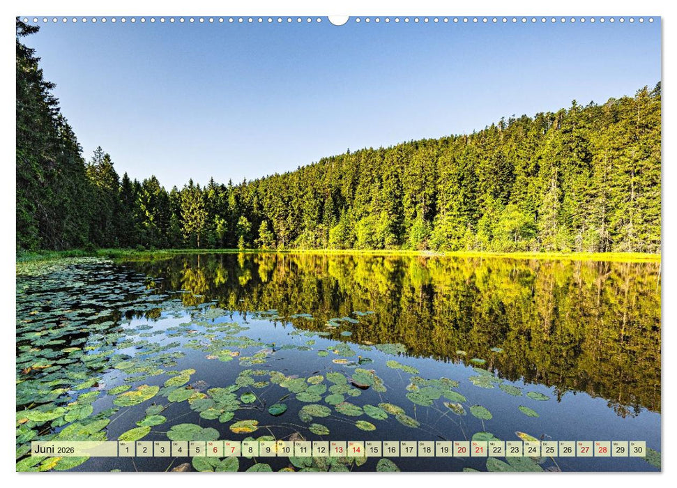 Karseen im Nordschwarzwald (CALVENDO Premium Wandkalender 2026)