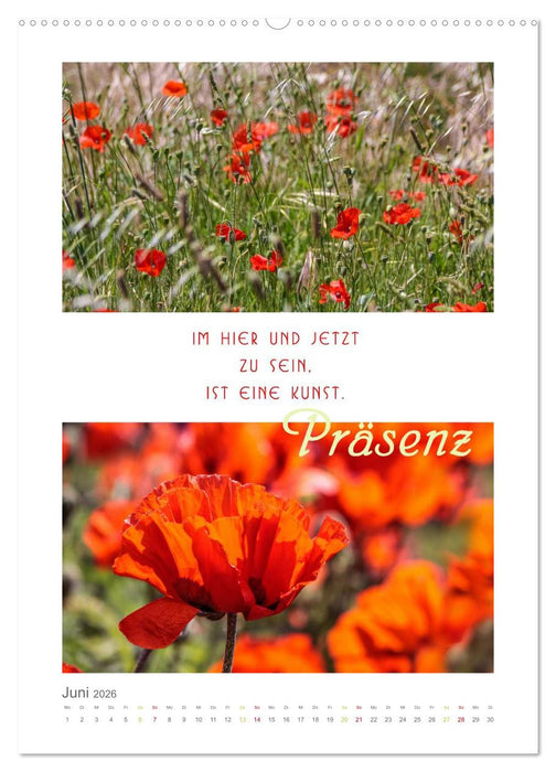 Quellen der Inspiration (CALVENDO Premium Wandkalender 2026)