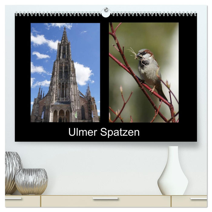Ulmer Spatzen (CALVENDO Premium Wandkalender 2026)