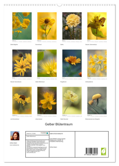 Gelber Blütentraum (CALVENDO Premium Wandkalender 2026)