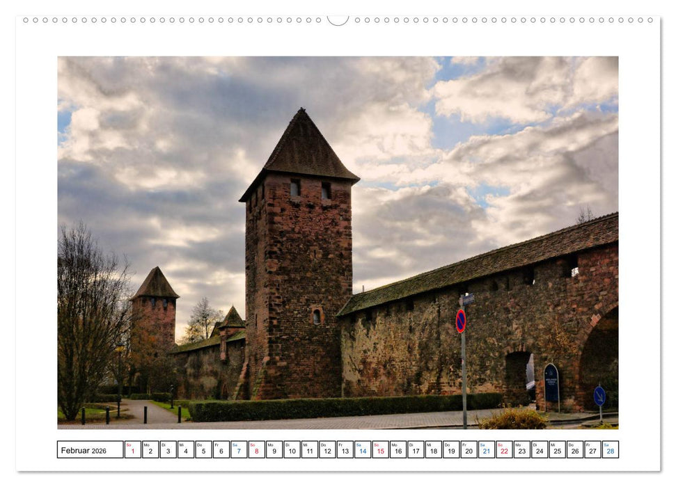 Worms - Ansichtssache (CALVENDO Premium Wandkalender 2026)