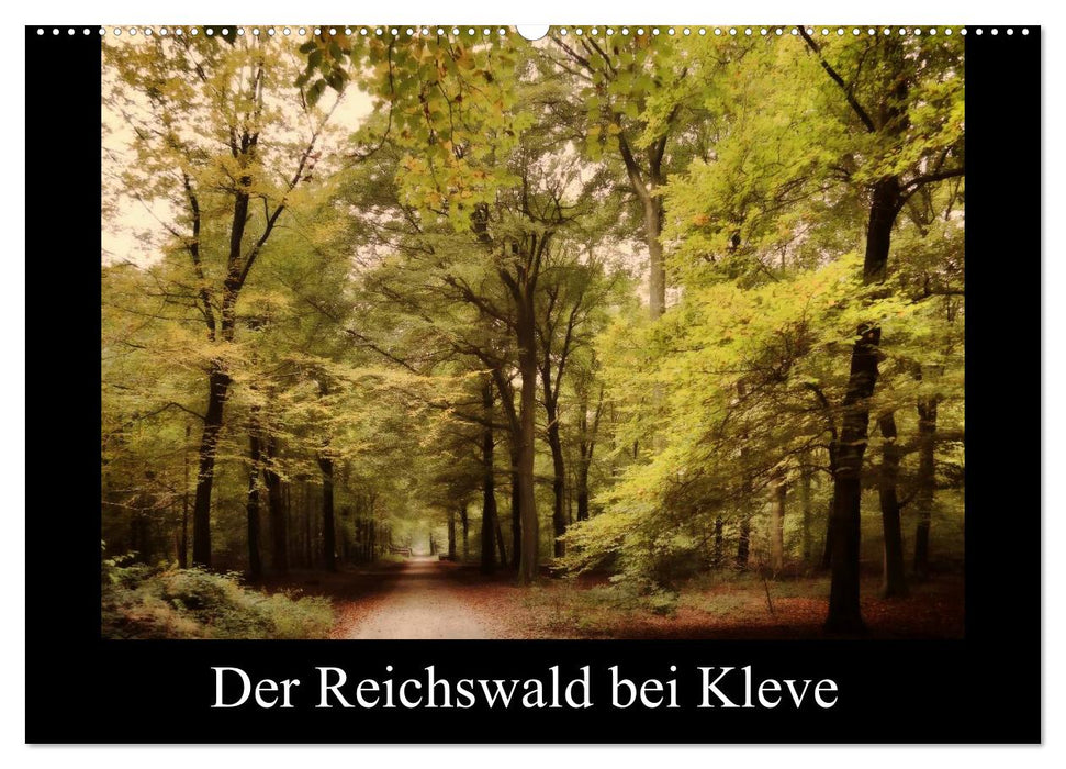 Der Reichswald bei Kleve (CALVENDO Wandkalender 2026)