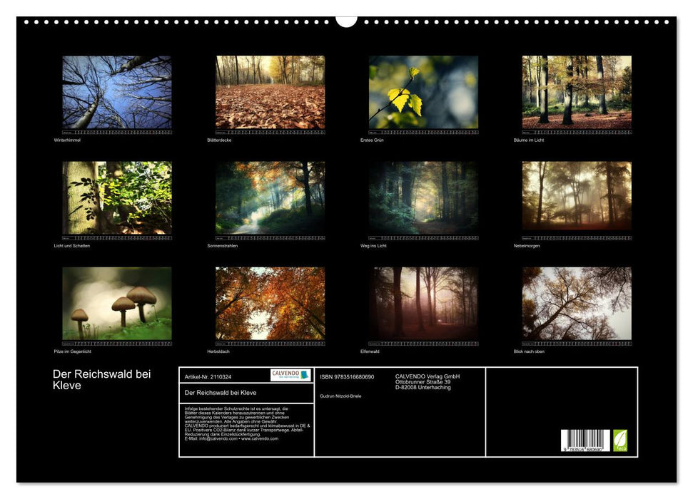 Der Reichswald bei Kleve (CALVENDO Wandkalender 2026)