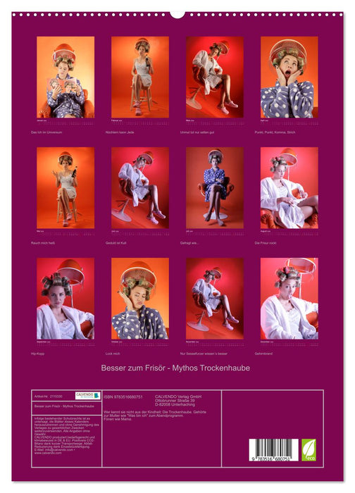 Besser zum Frisör - Mythos Trockenhaube (CALVENDO Premium Wandkalender 2026)