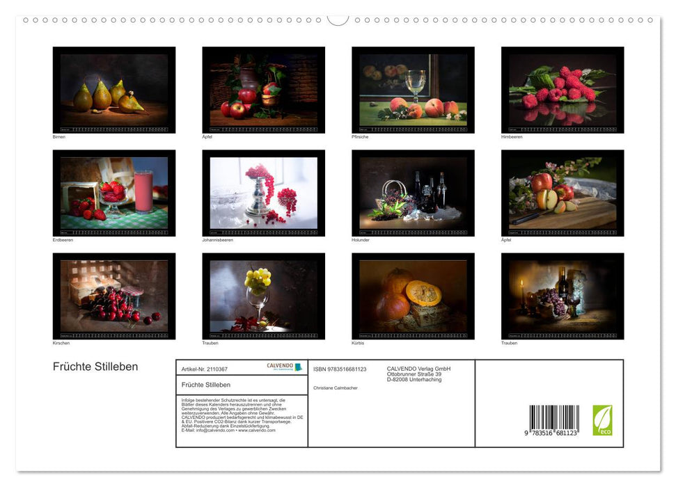 Früchte Stilleben (CALVENDO Premium Wandkalender 2026)