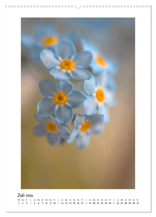 Blauer Blütenzauber (CALVENDO Premium Wandkalender 2026)