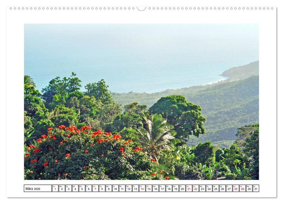 KARIBIK - die Vielfalt genießen (CALVENDO Premium Wandkalender 2026)