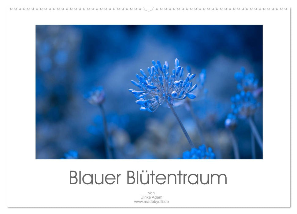 Blauer Blütentraum (CALVENDO Wandkalender 2026)
