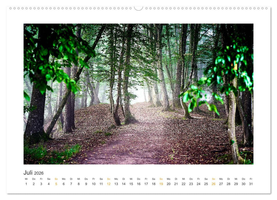 Landschaften des Altmühltals (CALVENDO Premium Wandkalender 2026)