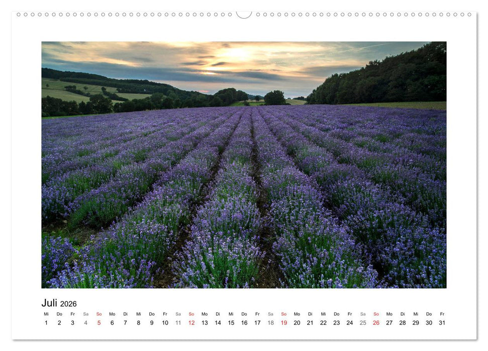 Impressionen aus Ostwestfalen-Lippe (CALVENDO Premium Wandkalender 2026)