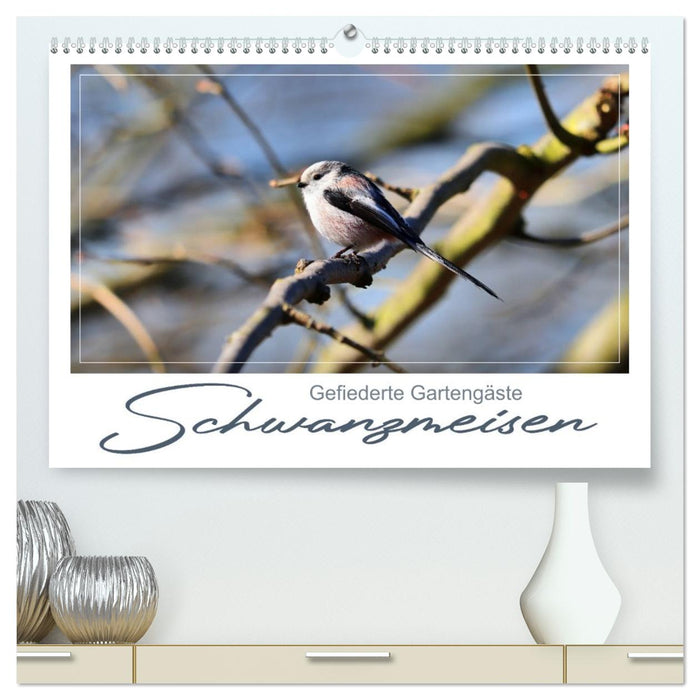 Gefiederte Gartengäste, Schwanzmeisen (CALVENDO Premium Wandkalender 2026)