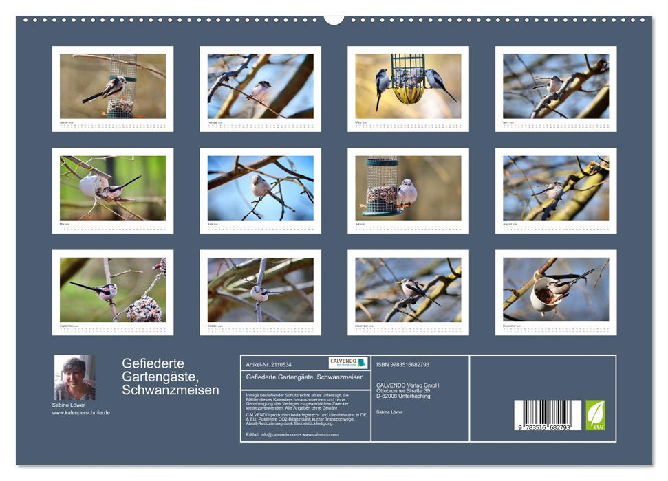Gefiederte Gartengäste, Schwanzmeisen (CALVENDO Premium Wandkalender 2026)