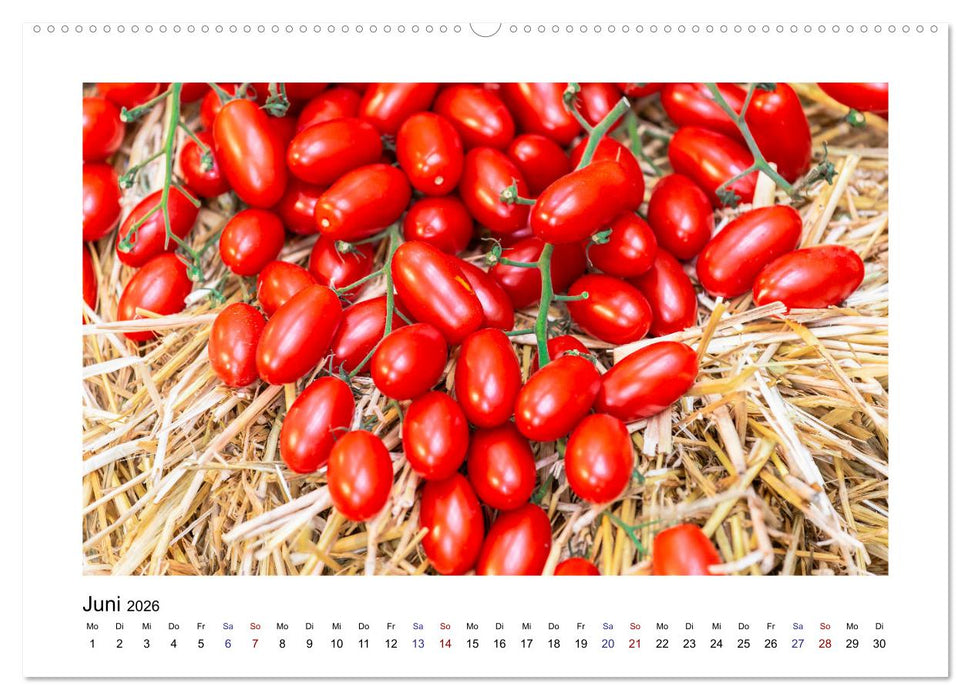 Wochenmarkt - Genussvoll Einkaufen (CALVENDO Premium Wandkalender 2026)