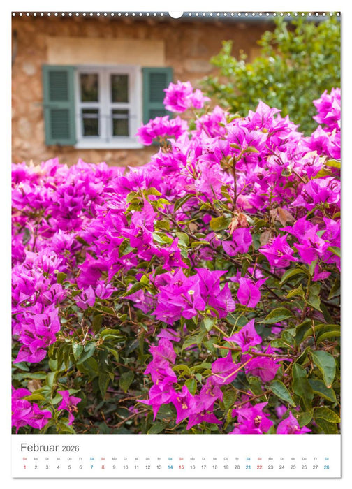 Lass uns träumen vom Süden (CALVENDO Premium Wandkalender 2026)