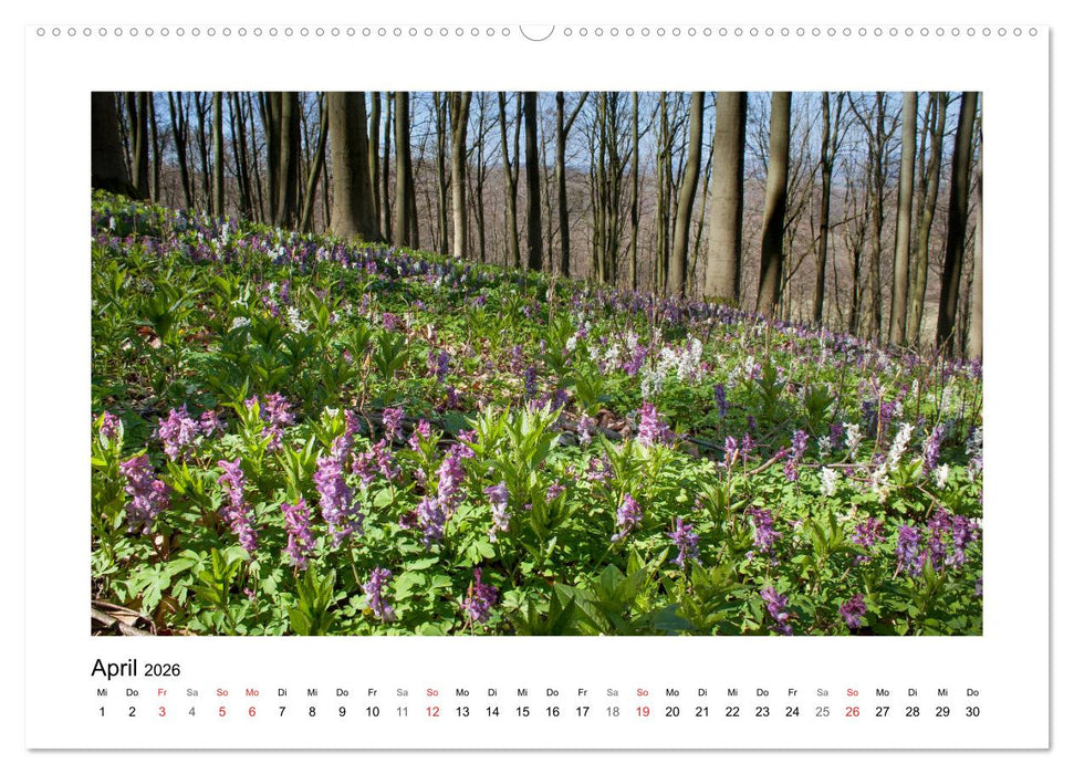 Impressionen aus Ostwestfalen-Lippe (CALVENDO Wandkalender 2026)