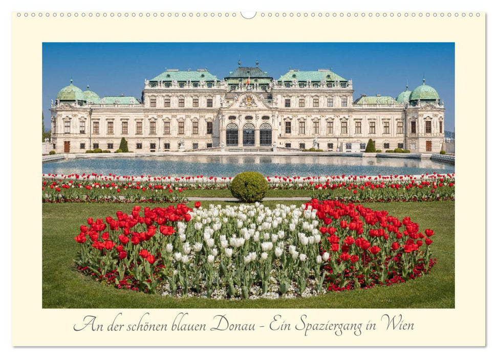 An der schönen blauen Donau - Ein Spaziergang in Wien (CALVENDO Wandkalender 2026)