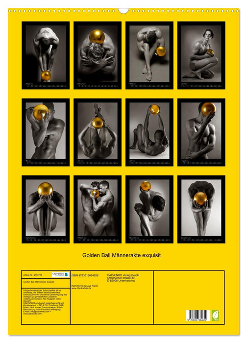 Golden Ball Männerakte exquisit (CALVENDO Wandkalender 2026)