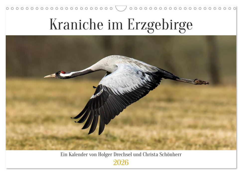 Kraniche im Erzgebirge (CALVENDO Wandkalender 2026)