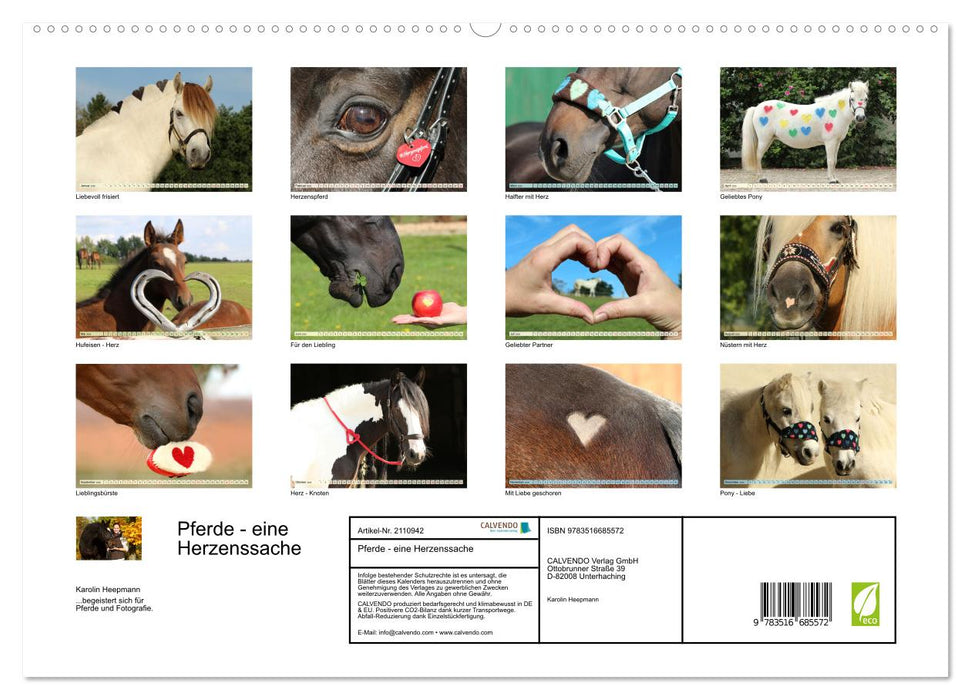 Pferde - eine Herzenssache (CALVENDO Premium Wandkalender 2026)