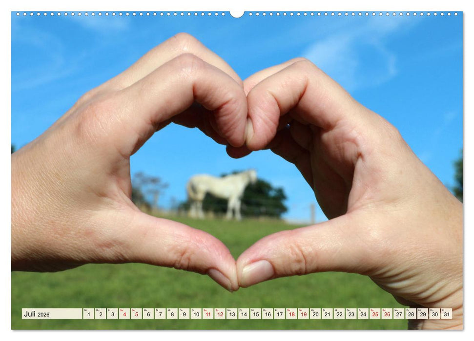 Pferde - eine Herzenssache (CALVENDO Premium Wandkalender 2026)