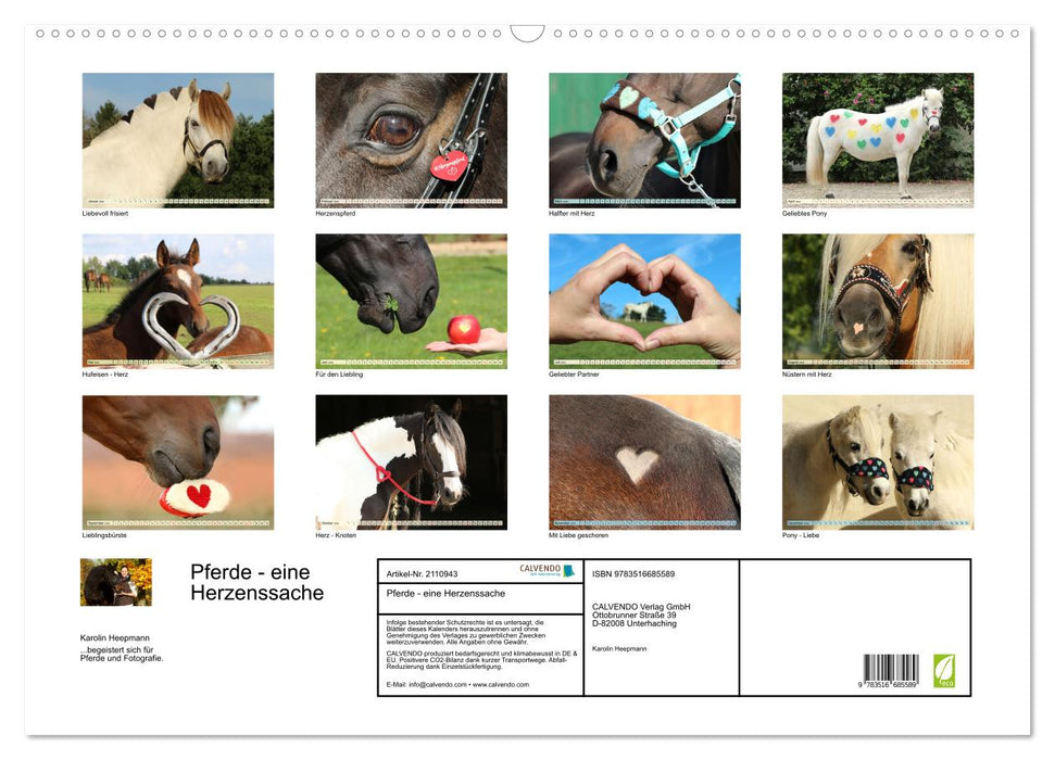 Pferde - eine Herzenssache (CALVENDO Wandkalender 2026)