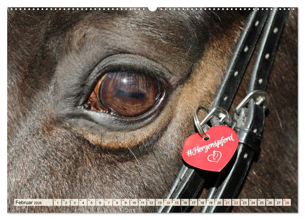 Pferde - eine Herzenssache (CALVENDO Wandkalender 2026)