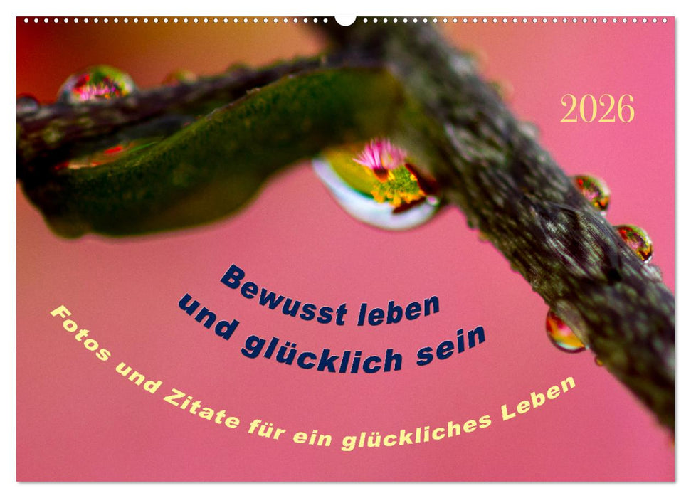 Bewusst leben und glücklich sein (CALVENDO Wandkalender 2026)