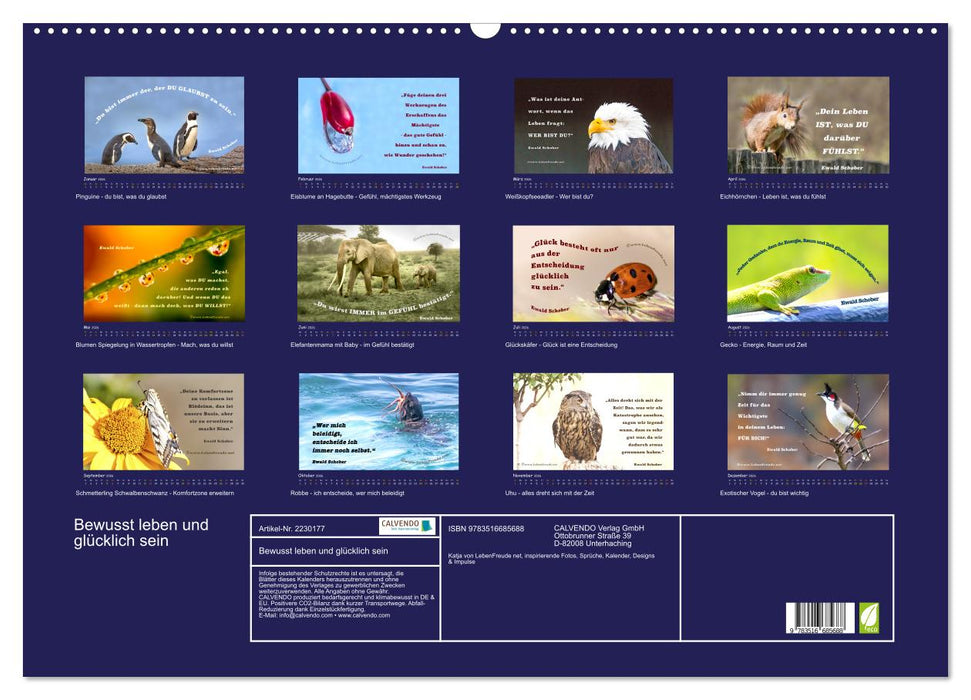 Bewusst leben und glücklich sein (CALVENDO Wandkalender 2026)