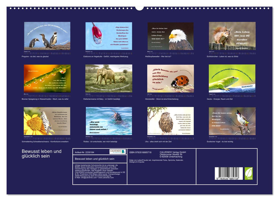 Bewusst leben und glücklich sein (CALVENDO Premium Wandkalender 2026)