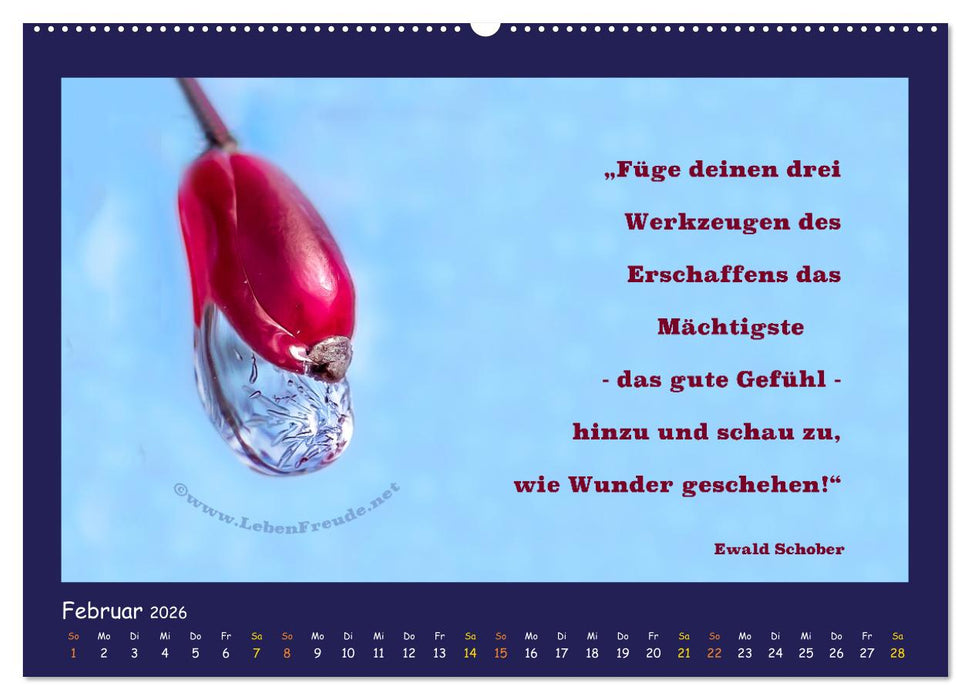 Bewusst leben und glücklich sein (CALVENDO Premium Wandkalender 2026)