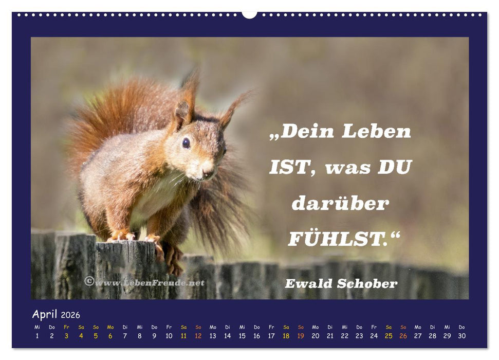 Bewusst leben und glücklich sein (CALVENDO Premium Wandkalender 2026)