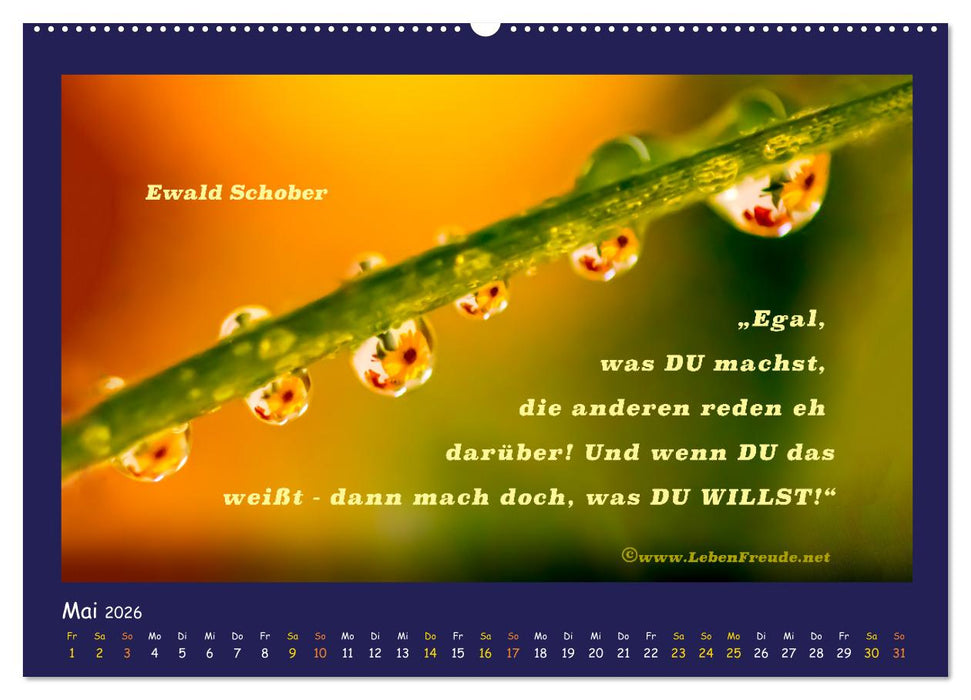 Bewusst leben und glücklich sein (CALVENDO Premium Wandkalender 2026)