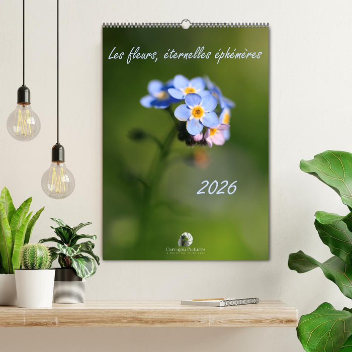 Les fleurs, éternelles éphemères (CALVENDO Calendrier mensuel 2026)