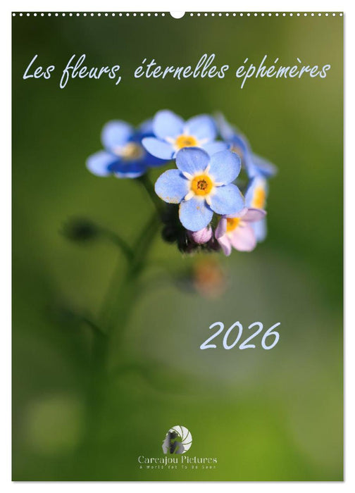 Les fleurs, éternelles éphemères (CALVENDO Calendrier mensuel 2026)