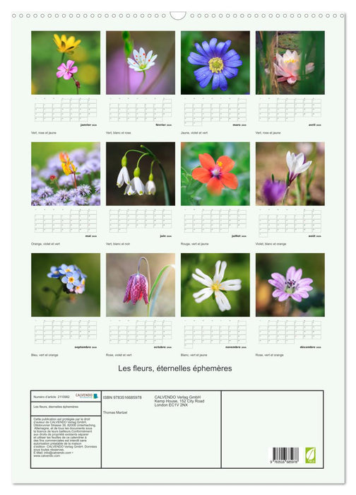 Les fleurs, éternelles éphemères (CALVENDO Calendrier mensuel 2026)