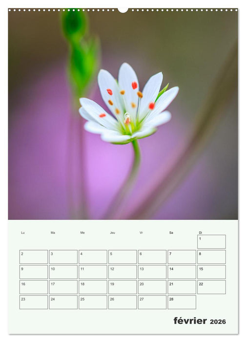 Les fleurs, éternelles éphemères (CALVENDO Calendrier mensuel 2026)