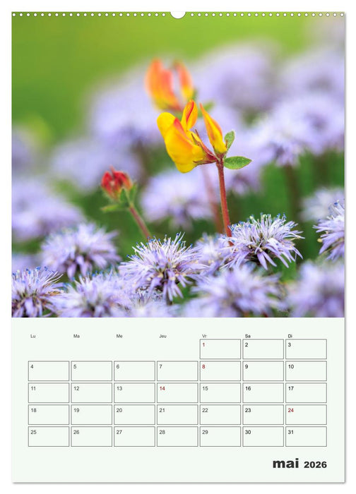 Les fleurs, éternelles éphemères (CALVENDO Calendrier mensuel 2026)