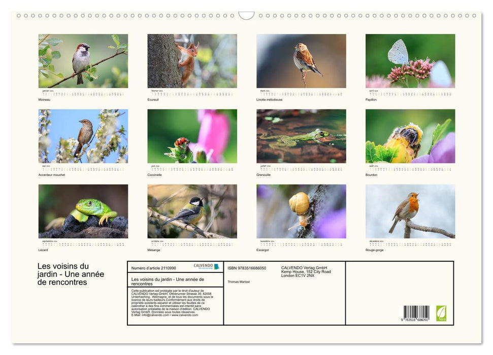 Les voisins du jardin - Une année de rencontres (CALVENDO Calendrier mensuel 2026)