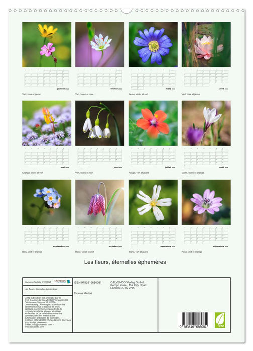 Les fleurs, éternelles éphemères (CALVENDO Calendrier supérieur 2026)